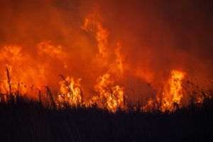 Wildfires spread across the Iberian Peninsula and southern France amid extreme heat